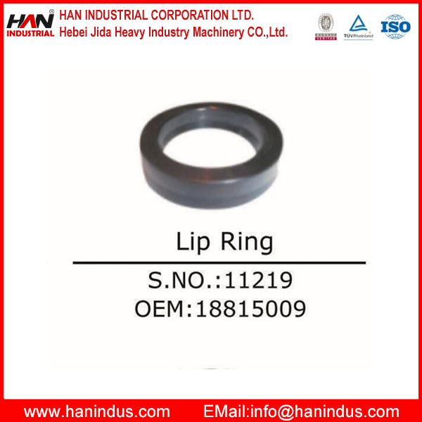  Lip Ring  