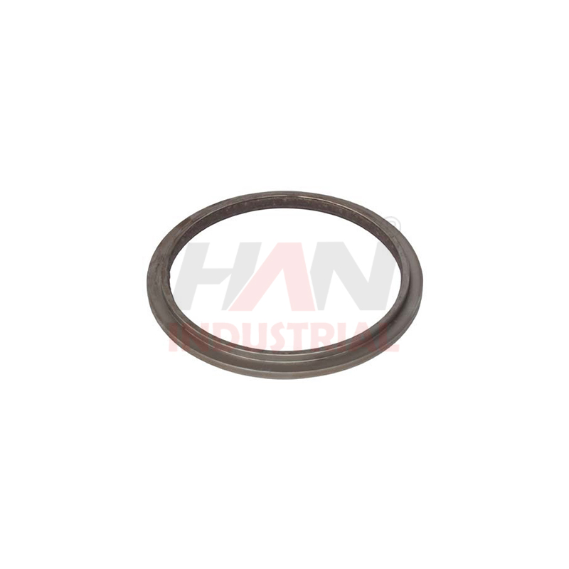 Backup Ring DN 220 OEM 10181915